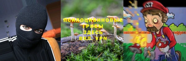 твердый Абинск