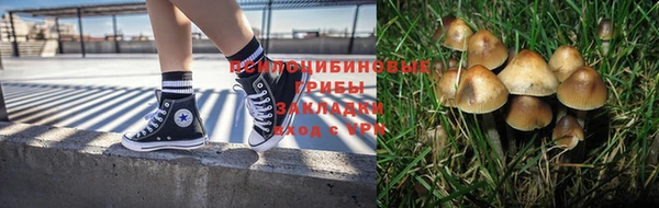 твердый Абинск