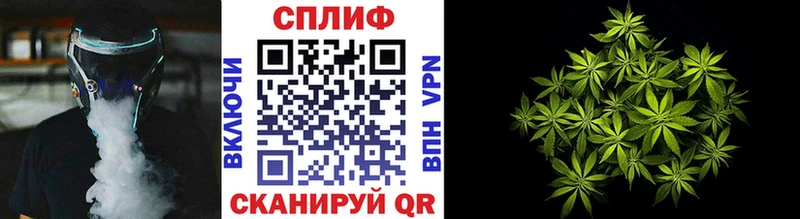 Конопля SATIVA & INDICA  Шлиссельбург 